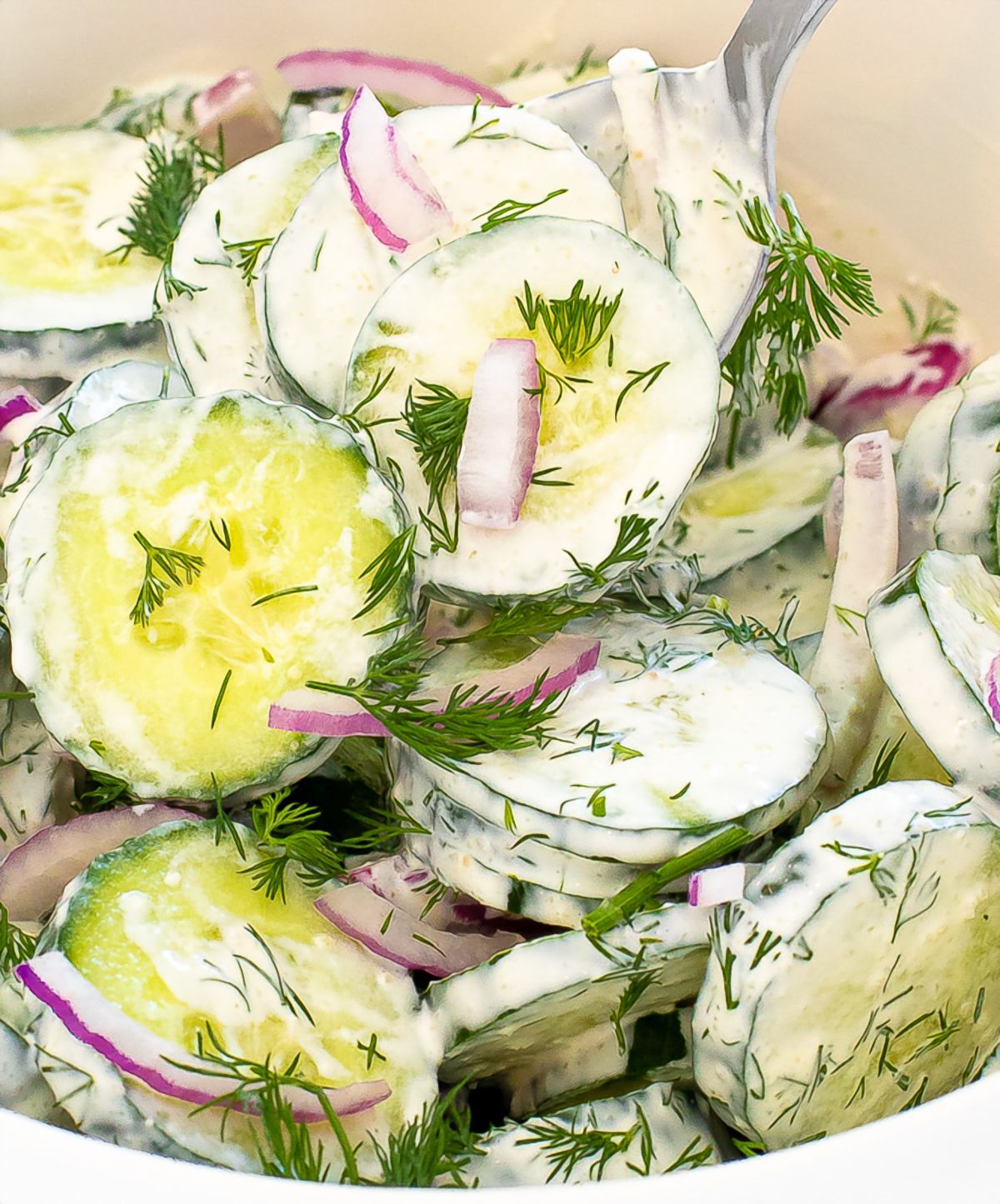 Close up of spoon scooping up cucumbers and onion in a creamy sauce with dill on top.